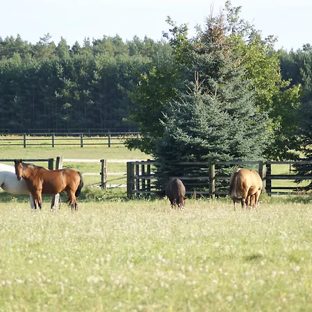 فندق Ferien Flaeming