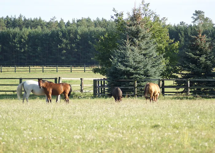 酒店 Ferien Flaeming